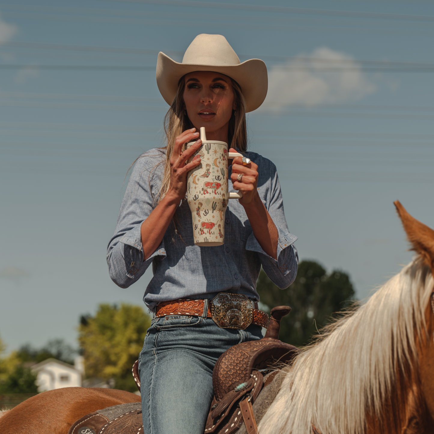 rodeo-z4 TRVL-Rodeo-6WPI.png
